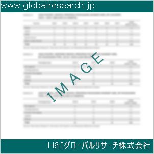 グローバルリサーチ調査資料のイメージ